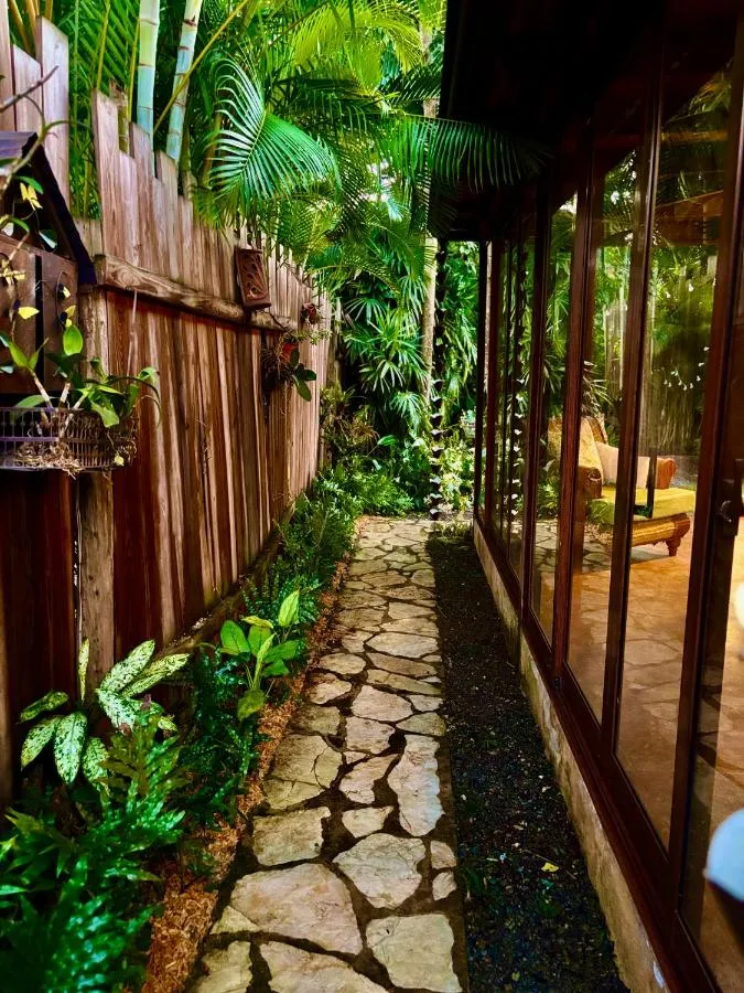 Stone path beside the house